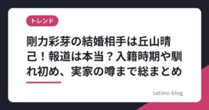 剛力彩芽の結婚相手は丘山晴己！報道は本当？入籍時期や馴れ初め、実家の噂まで総まとめ